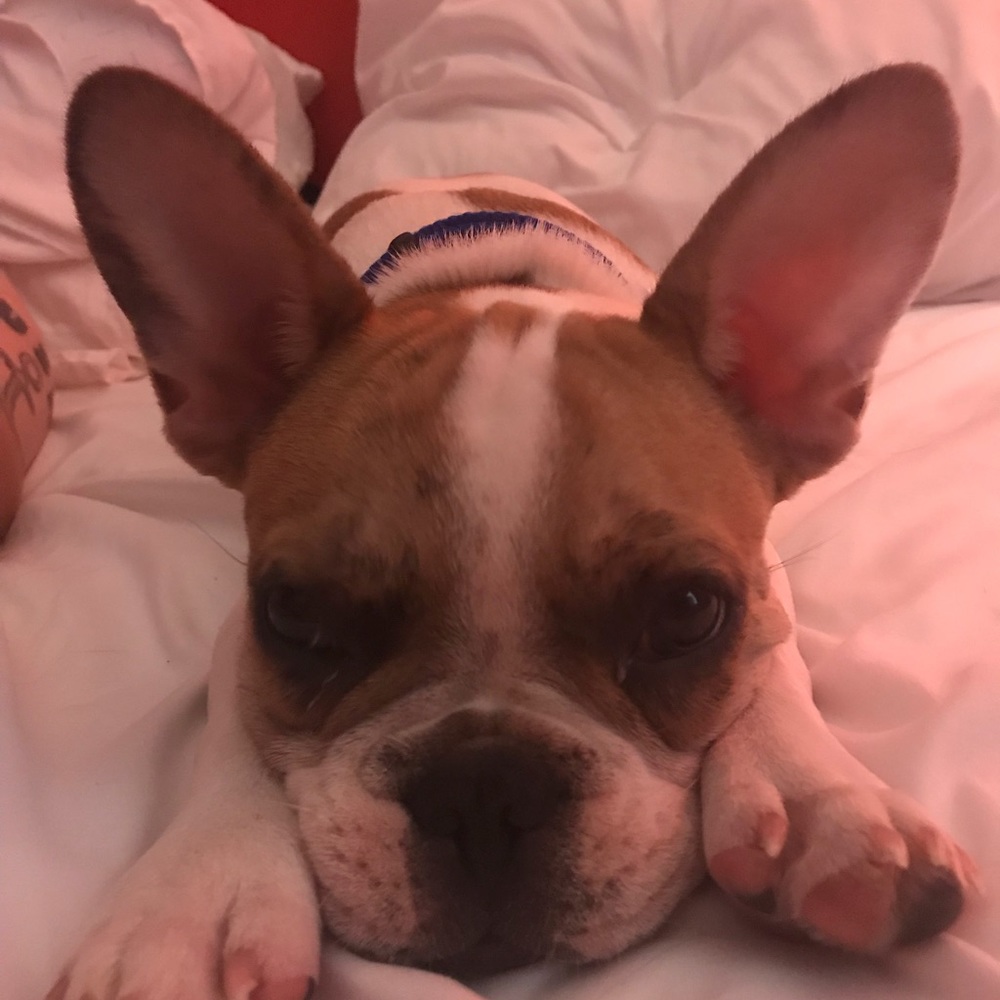 Meet your Posher, Kelly